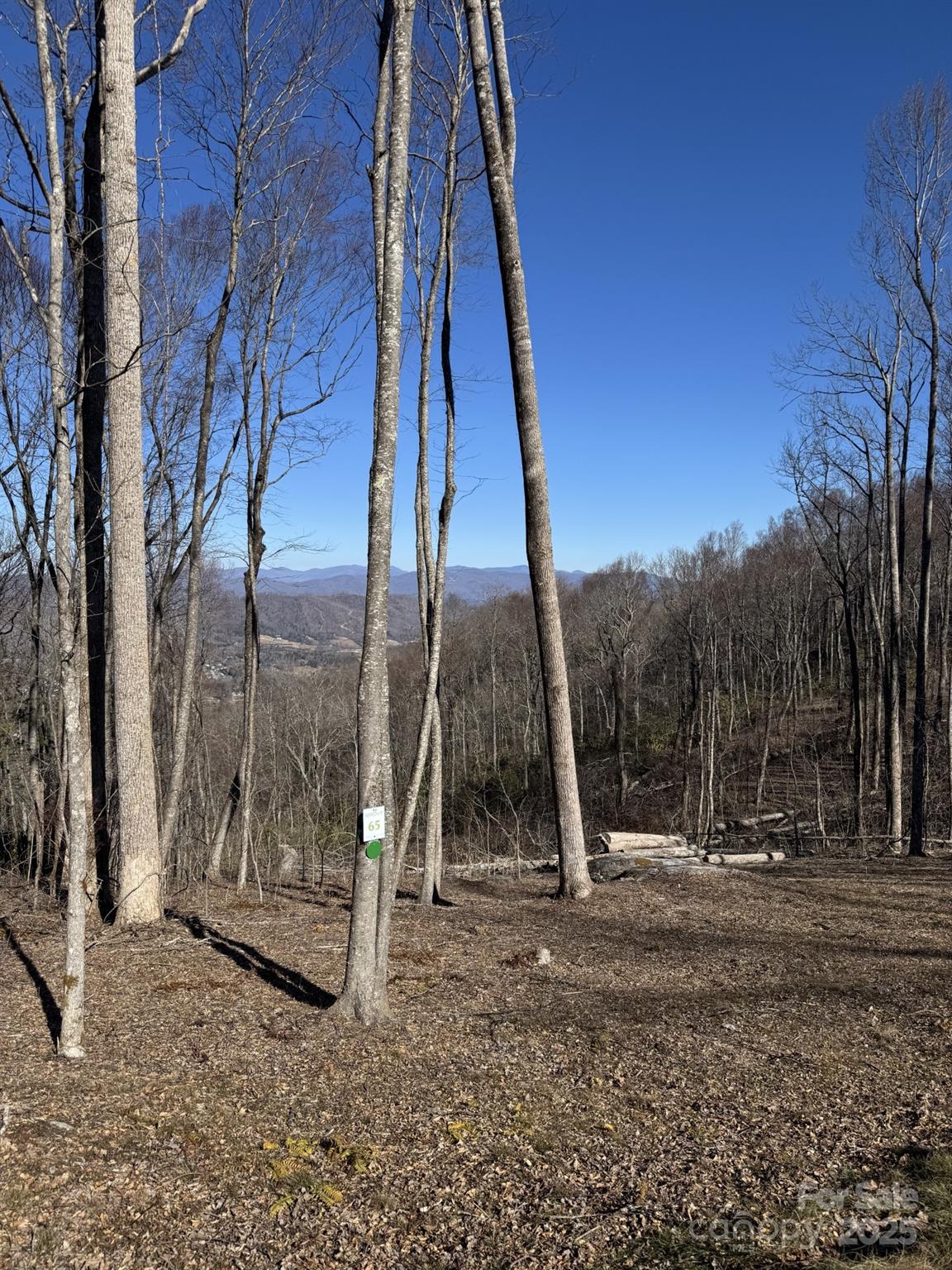 0000 West Garden Trail Hendersonville NC 28792