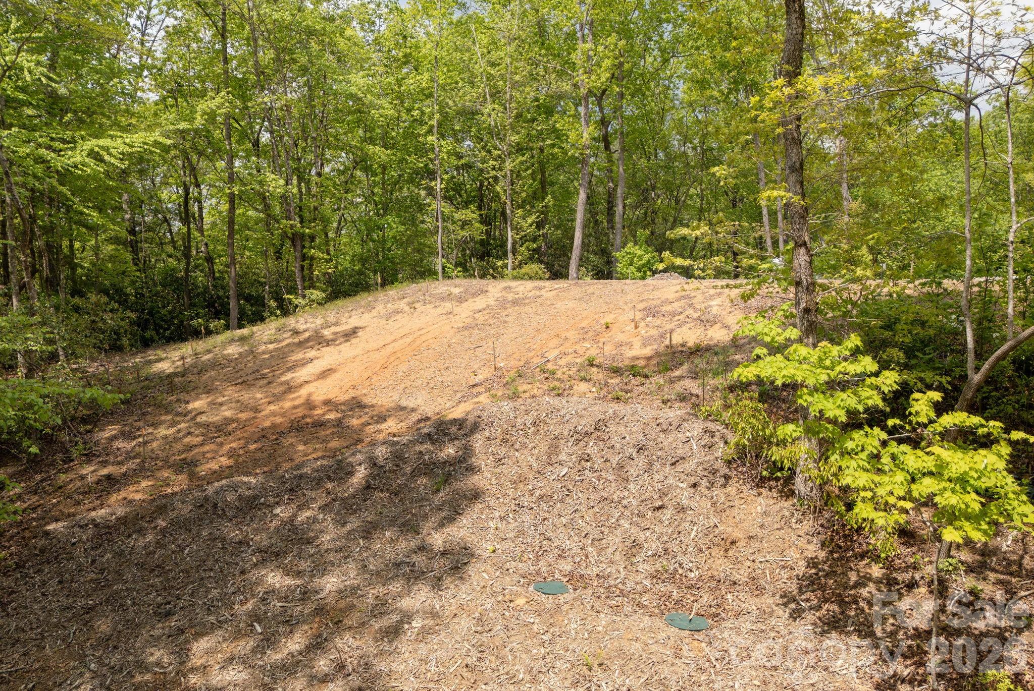106 Skydance Trail Hendersonville NC 28739