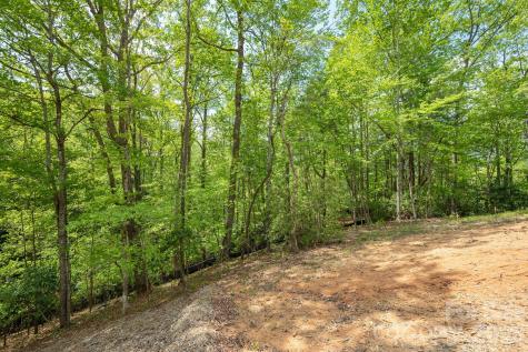 106 Skydance Trail Hendersonville NC 28739