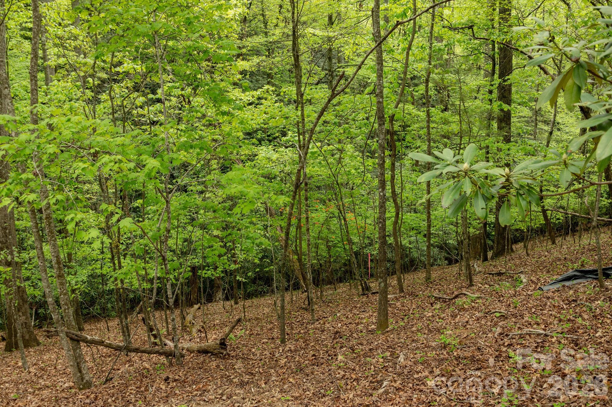 106 Skydance Trail Hendersonville NC 28739