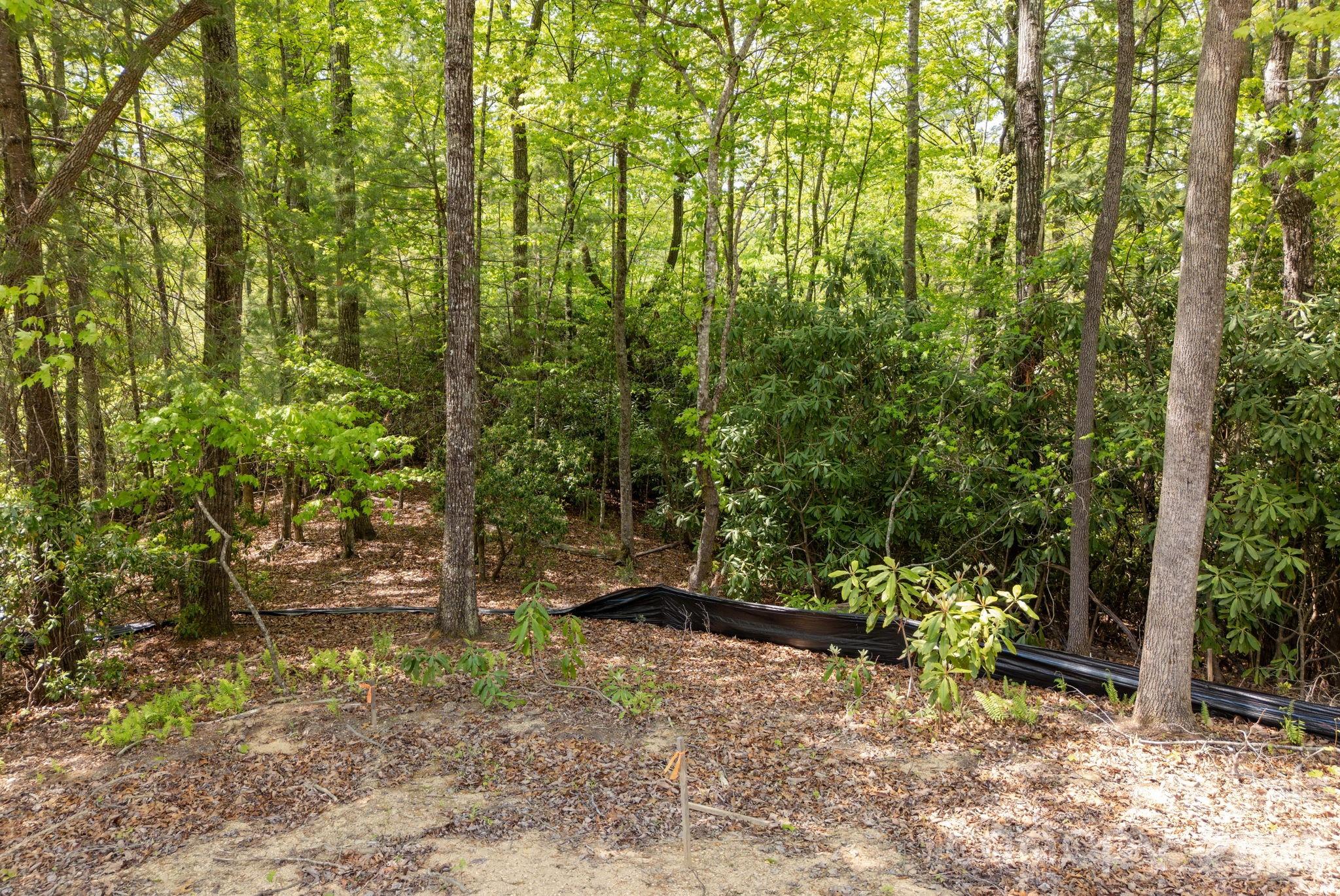 106 Skydance Trail Hendersonville NC 28739