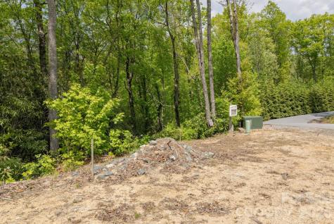 106 Skydance Trail Hendersonville NC 28739
