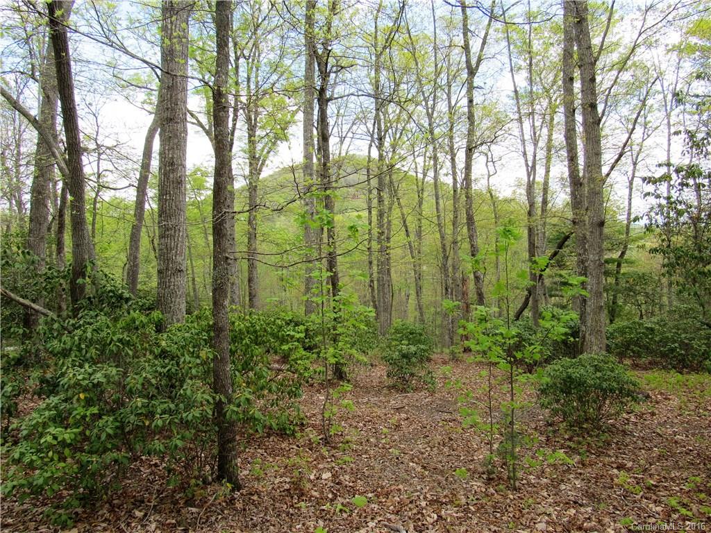2015 Song Breeze Trail Arden NC 28704