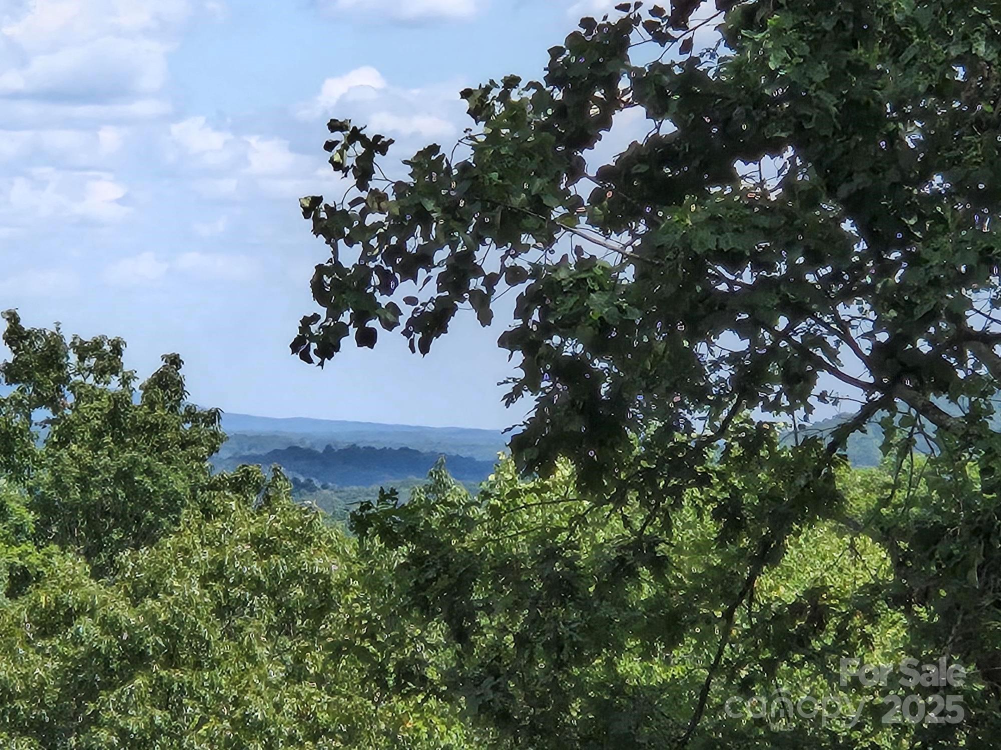 Lot 34 Hawks Nest Trail Lake Lure NC 28746