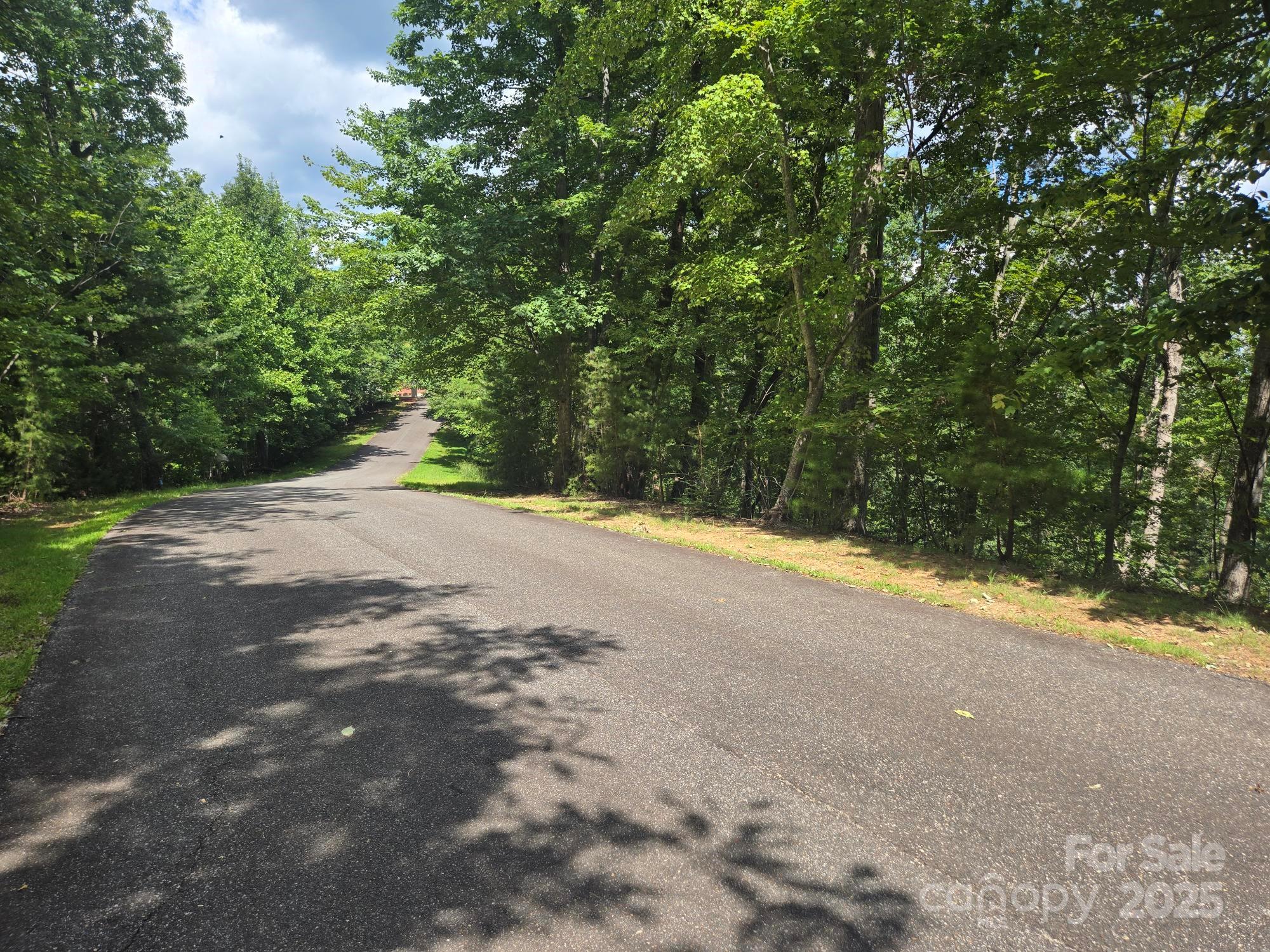 Lot 34 Hawks Nest Trail Lake Lure NC 28746