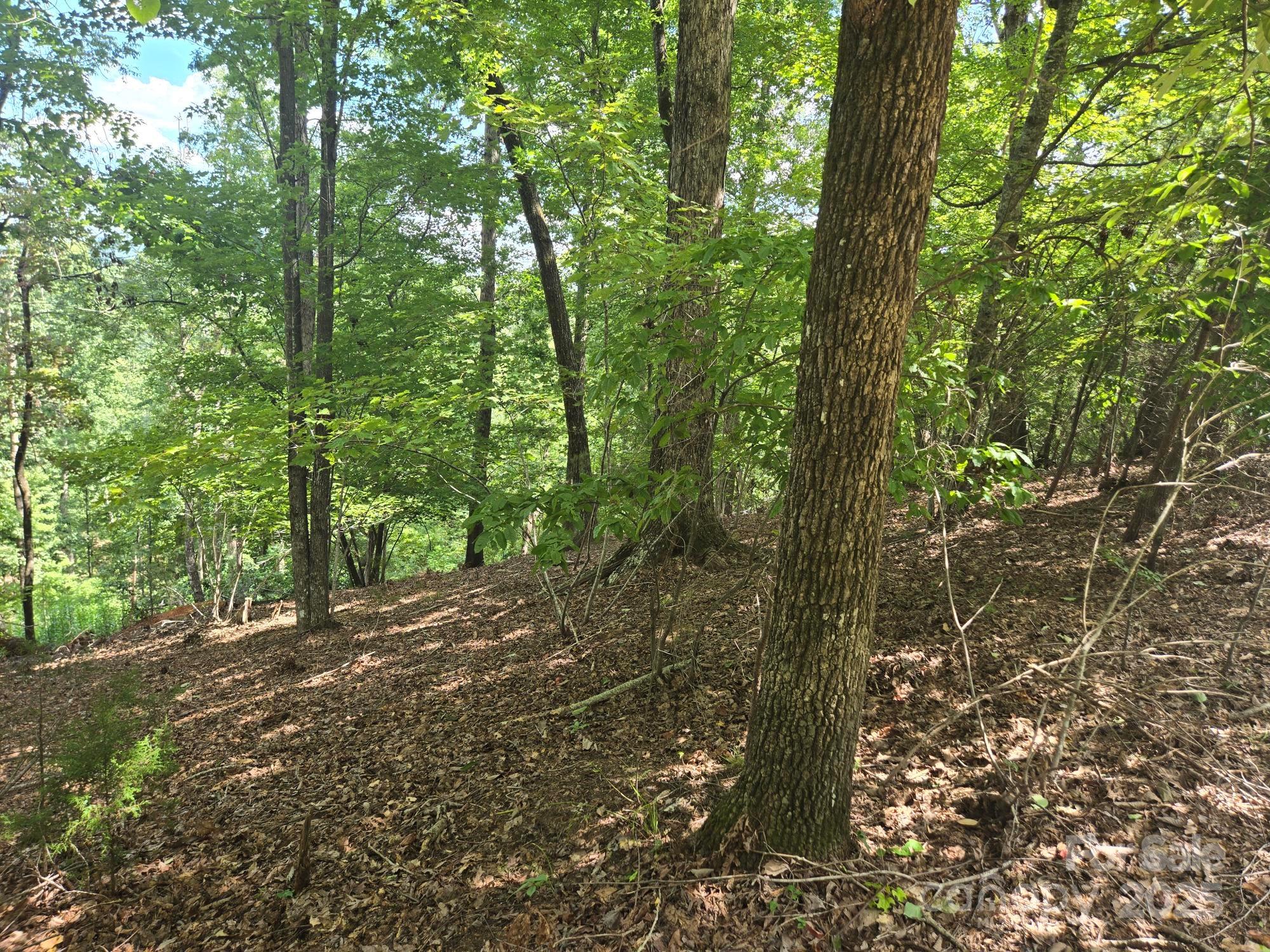 Lot 34 Hawks Nest Trail Lake Lure NC 28746