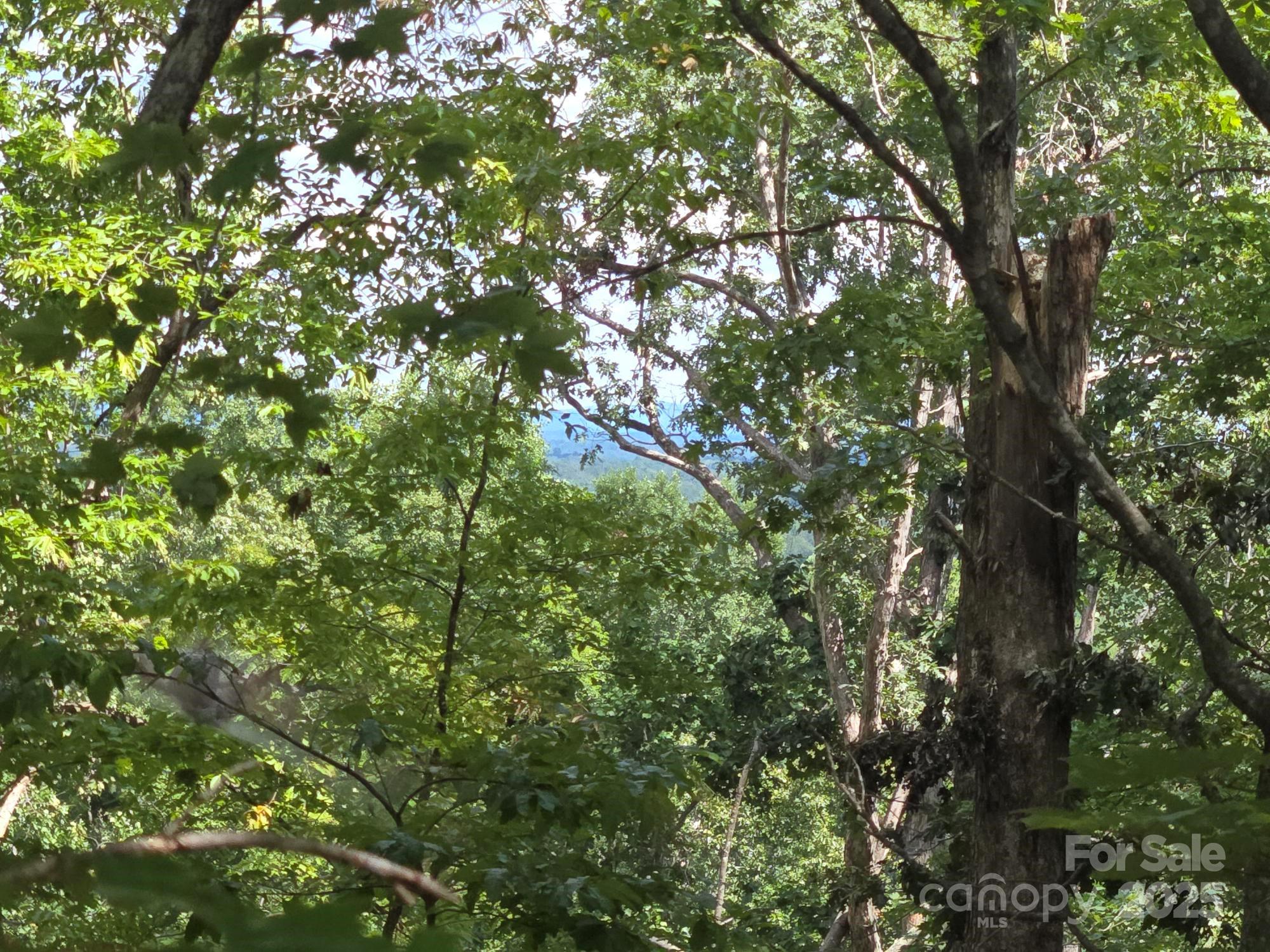 Lot 34 Hawks Nest Trail Lake Lure NC 28746