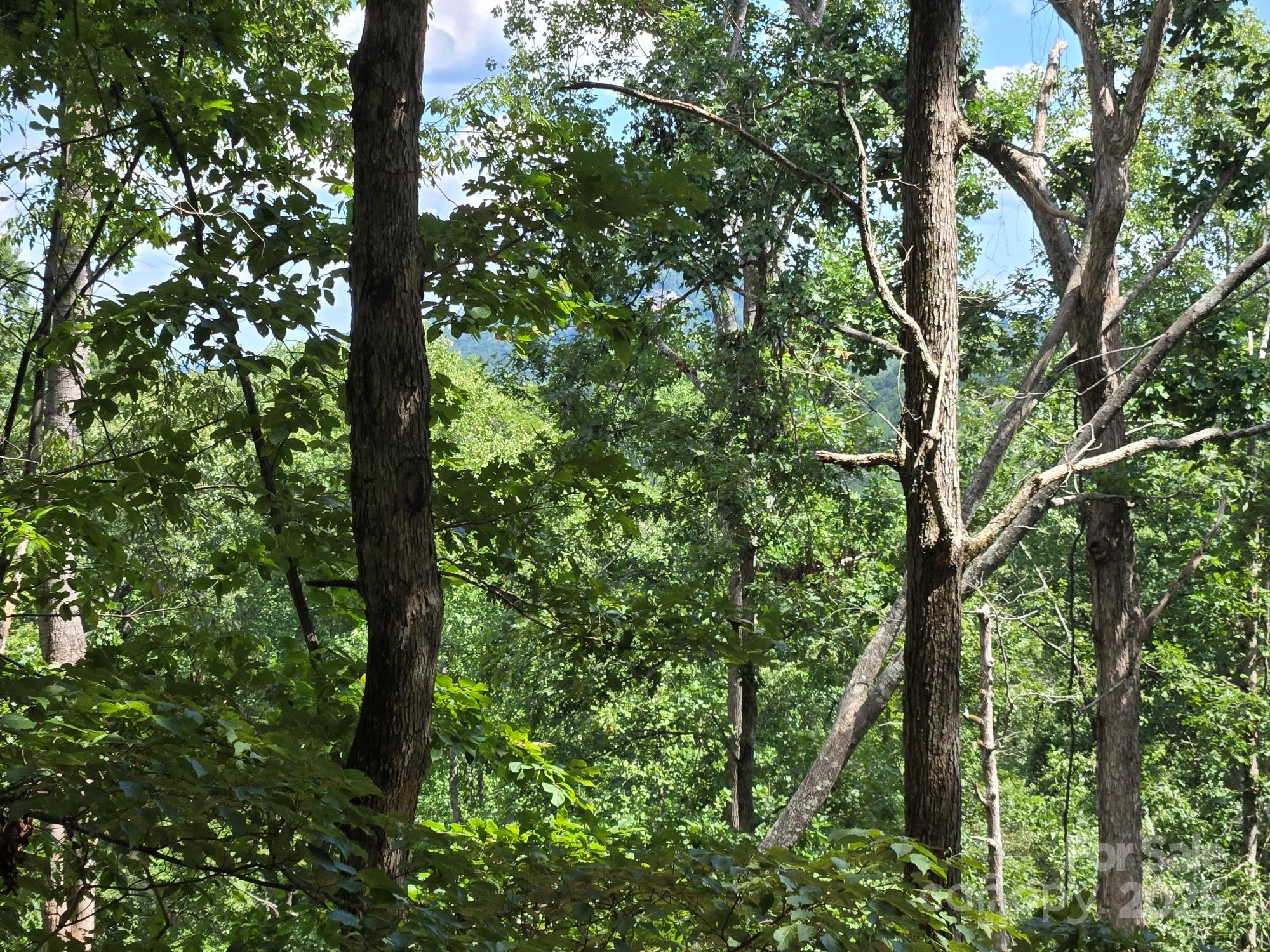Lot 34 Hawks Nest Trail Lake Lure NC 28746