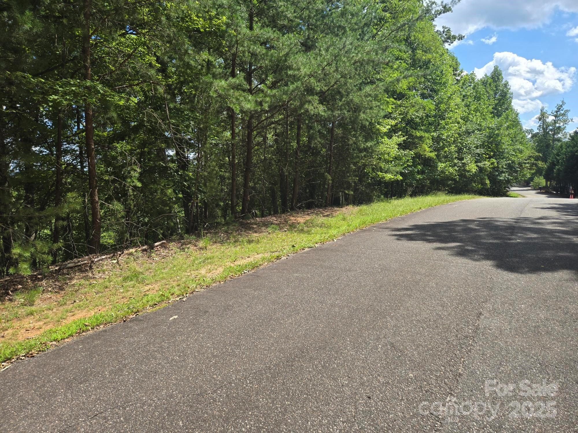 Lot 34 Hawks Nest Trail Lake Lure NC 28746