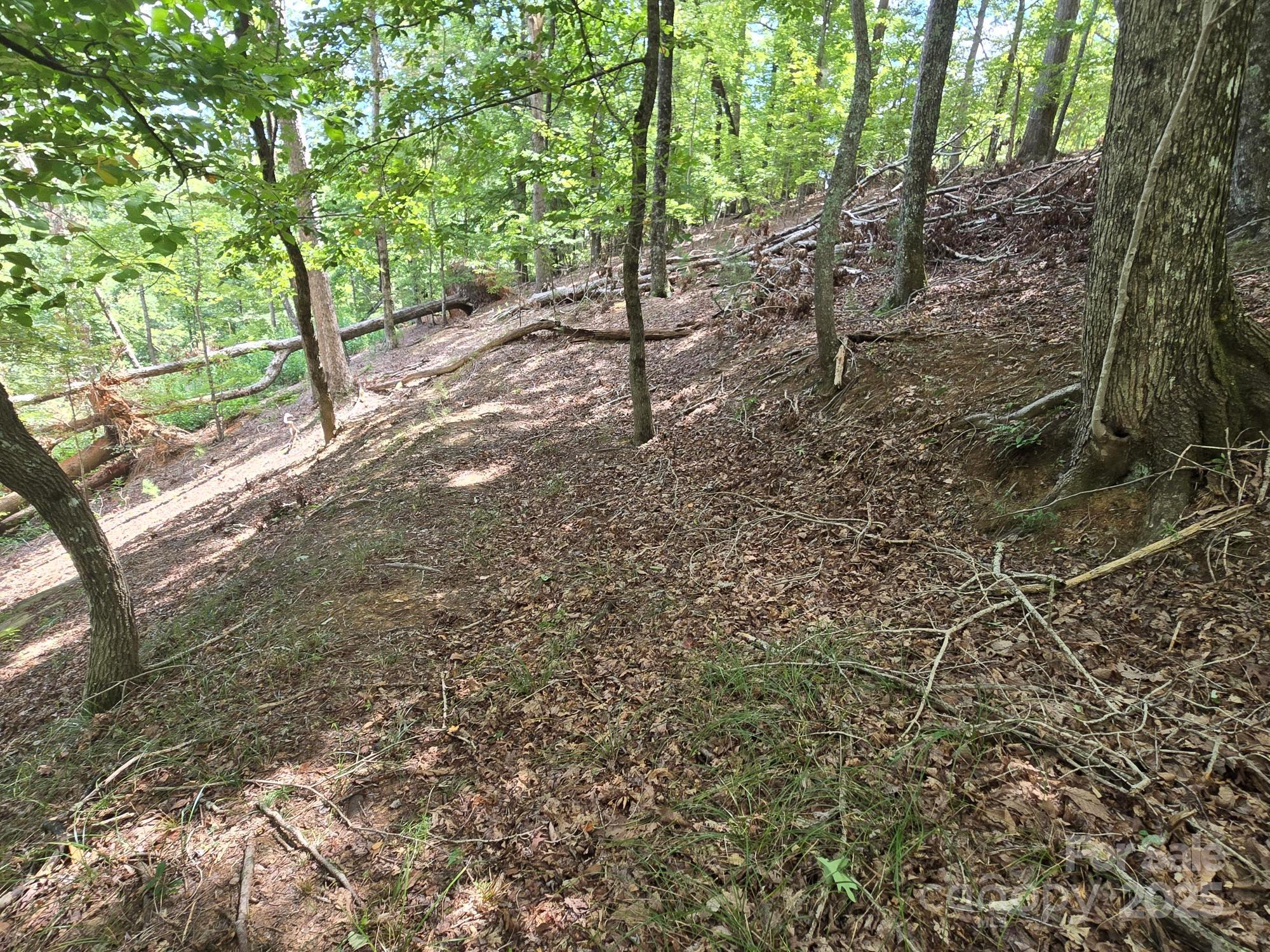 Lot 34 Hawks Nest Trail Lake Lure NC 28746