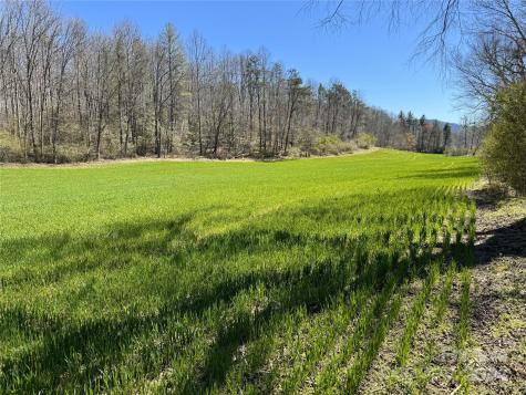 Tbd German Farm Road Boomer NC 28606