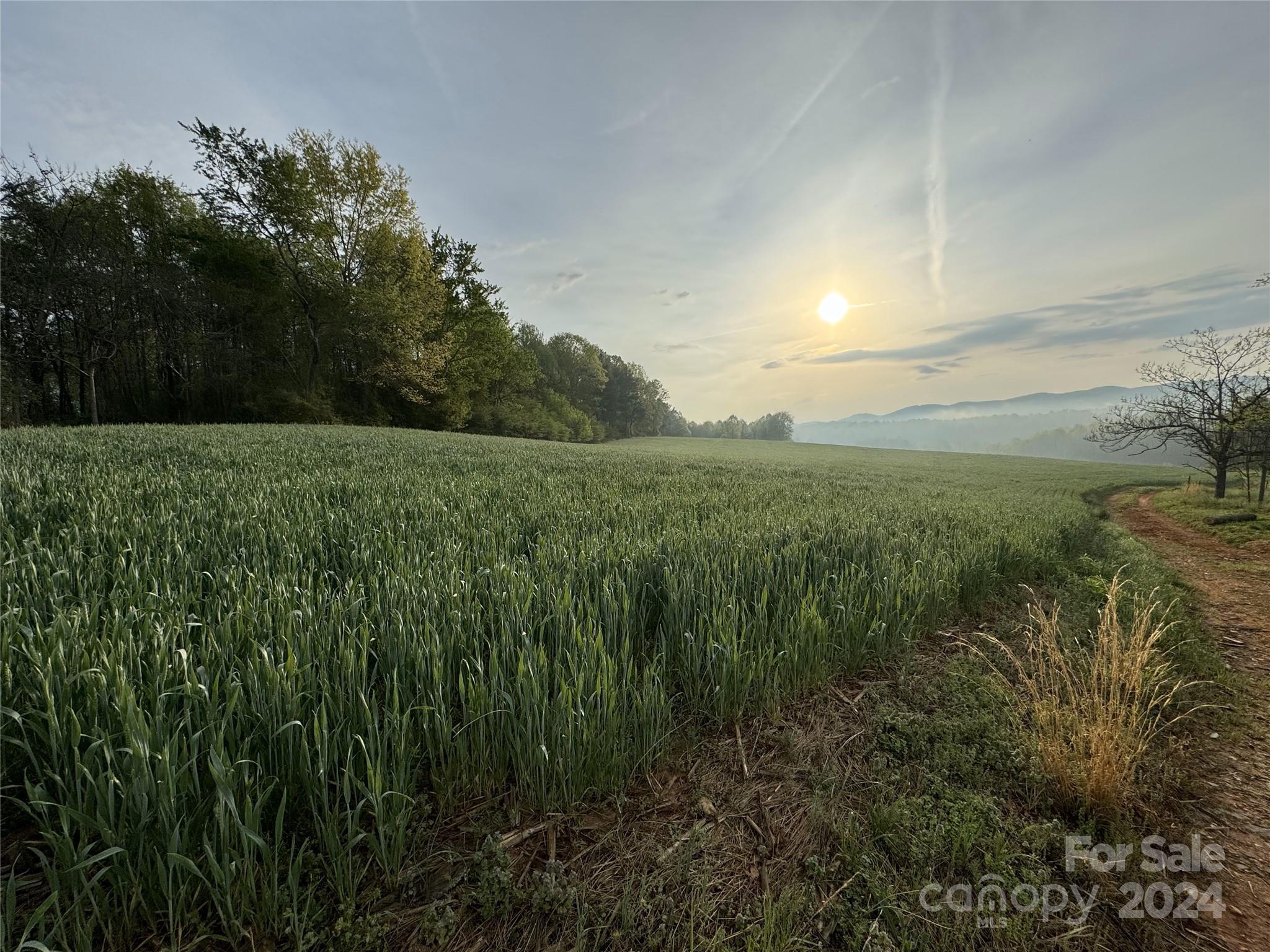 Tbd German Farm Road Boomer NC 28606