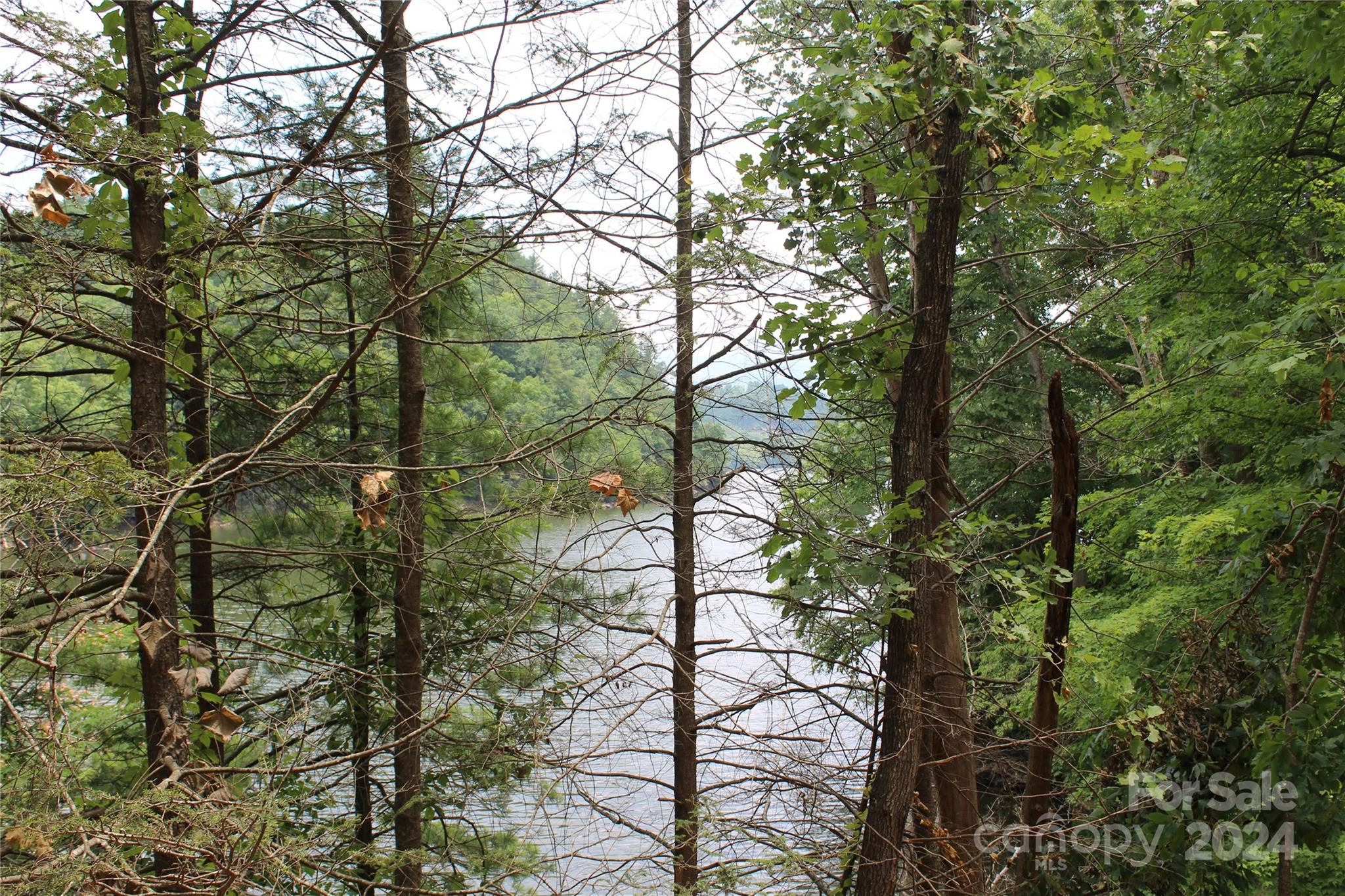 000 White Oak Road Waynesville NC 28785