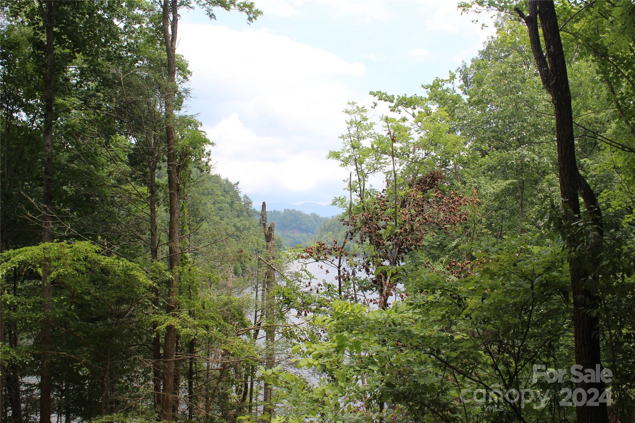 000 White Oak Road Waynesville NC 28785