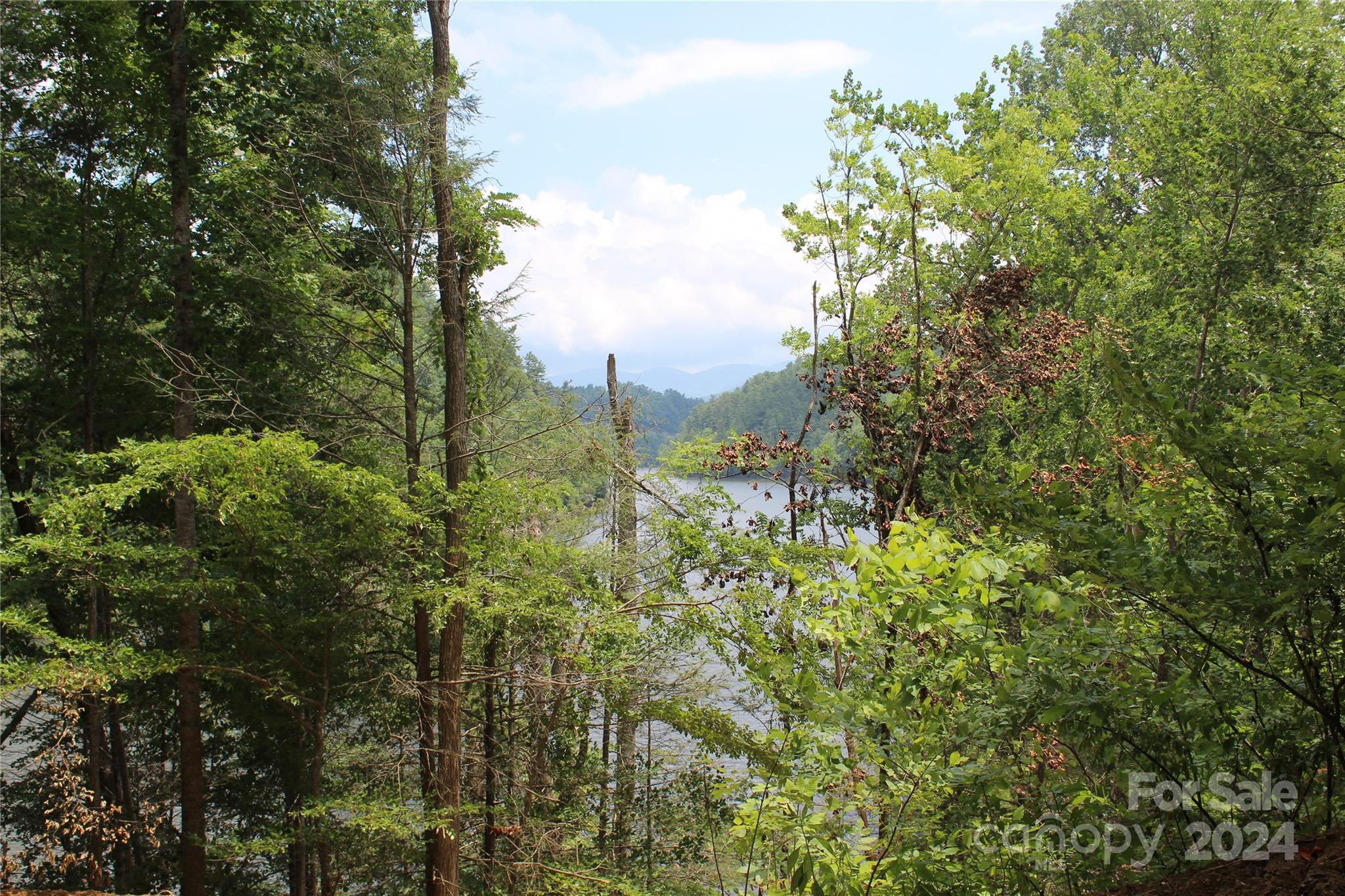 000 White Oak Road Waynesville NC 28785