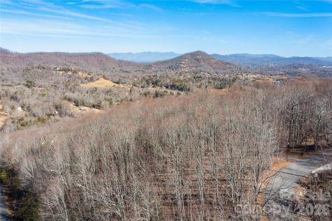 1306 Double Knob Drive Arden NC 28704