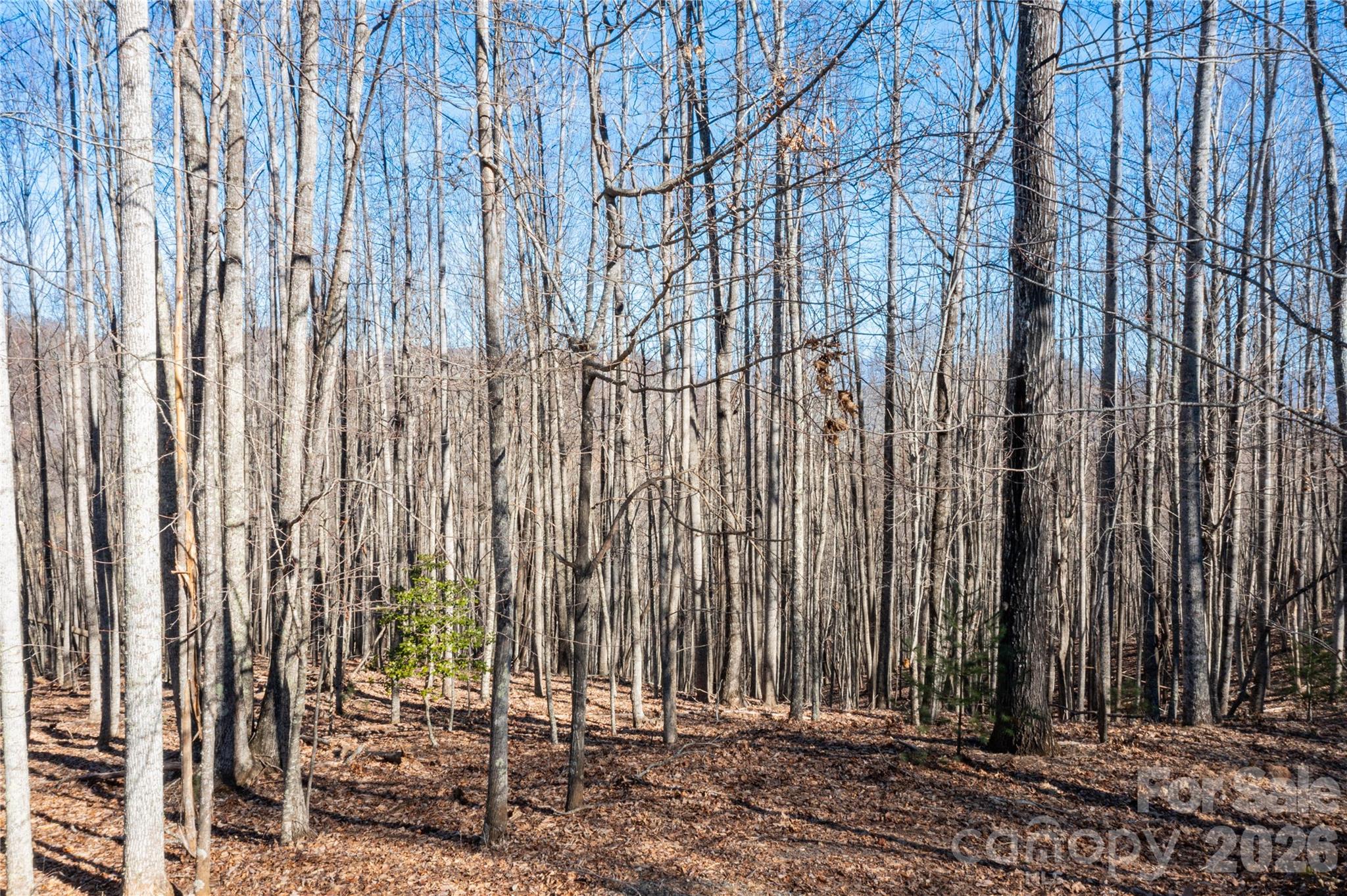 1306 Double Knob Drive Arden NC 28704