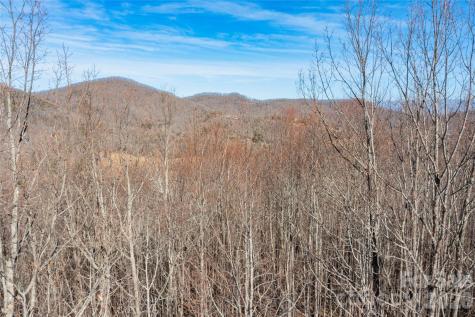 1306 Double Knob Drive Arden NC 28704