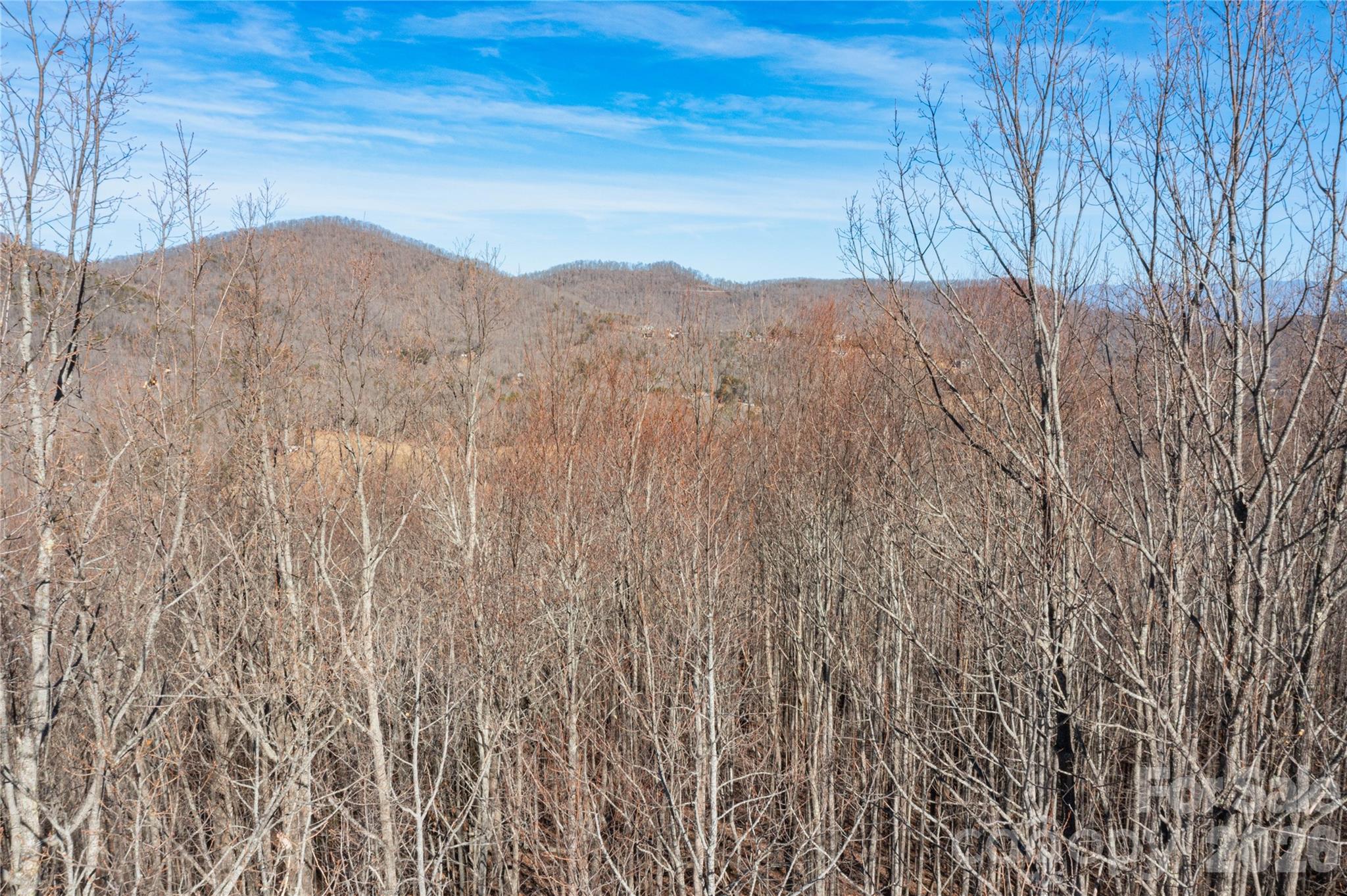 1306 Double Knob Drive Arden NC 28704