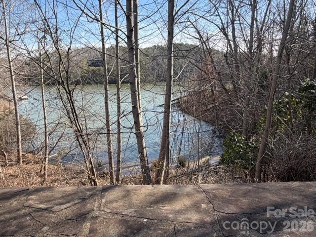 37 Peninsula Drive Mill Spring NC 28756