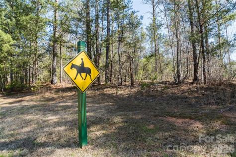37 Peninsula Drive Mill Spring NC 28756