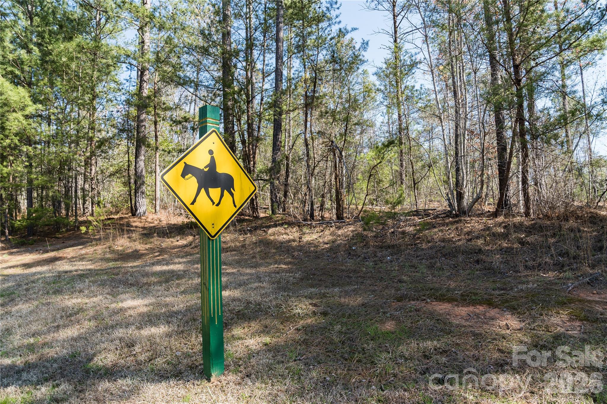 37 Peninsula Drive Mill Spring NC 28756