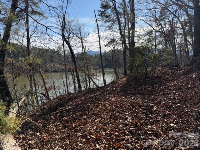 37 Peninsula Drive Mill Spring NC 28756