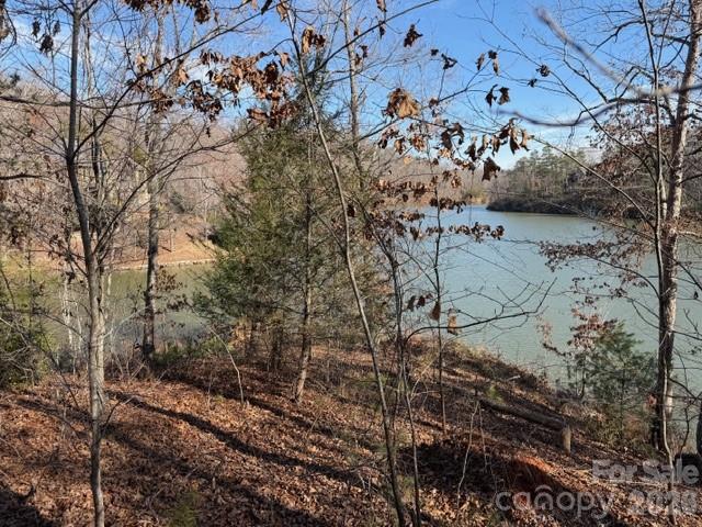 37 Peninsula Drive Mill Spring NC 28756