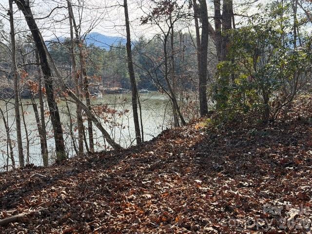 37 Peninsula Drive Mill Spring NC 28756