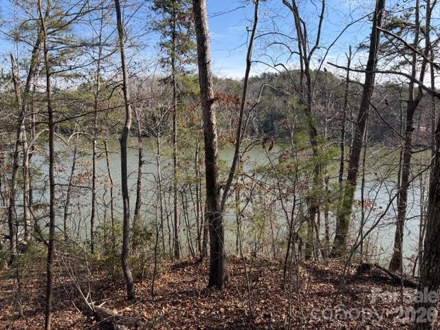 37 Peninsula Drive Mill Spring NC 28756