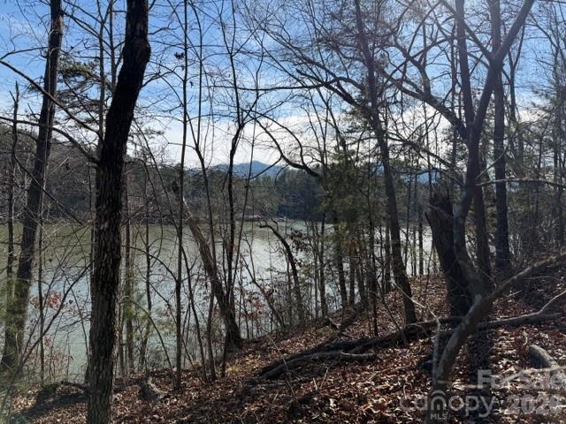 37 Peninsula Drive Mill Spring NC 28756