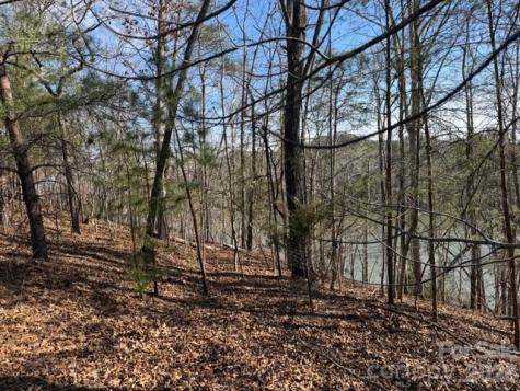 37 Peninsula Drive Mill Spring NC 28756