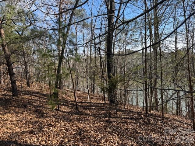 37 Peninsula Drive Mill Spring NC 28756