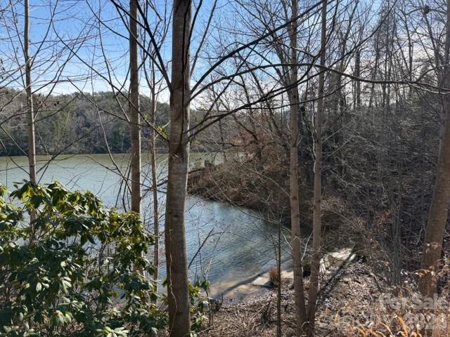 37 Peninsula Drive Mill Spring NC 28756