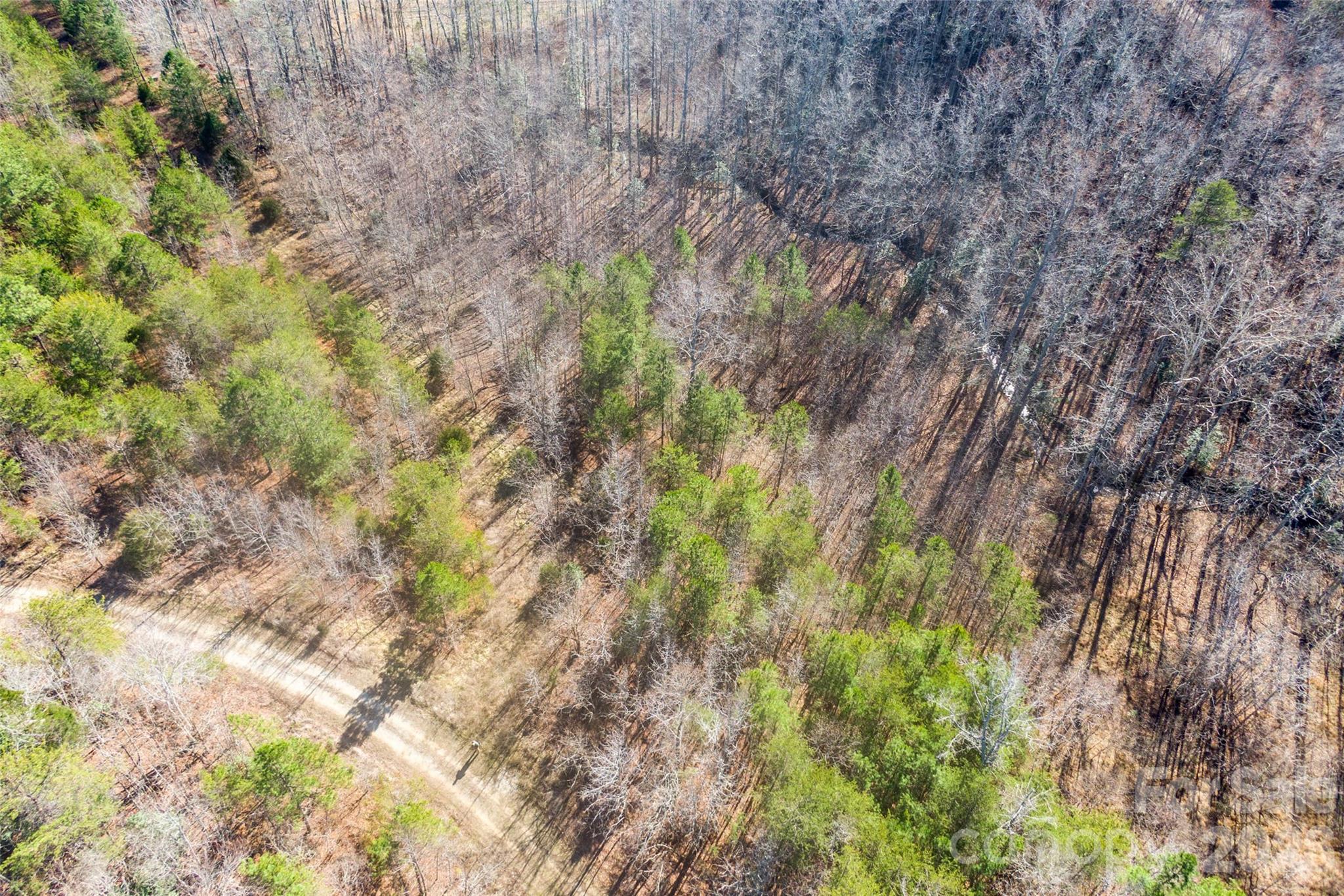 0 Riding Ring Drive Ellenboro NC 28040