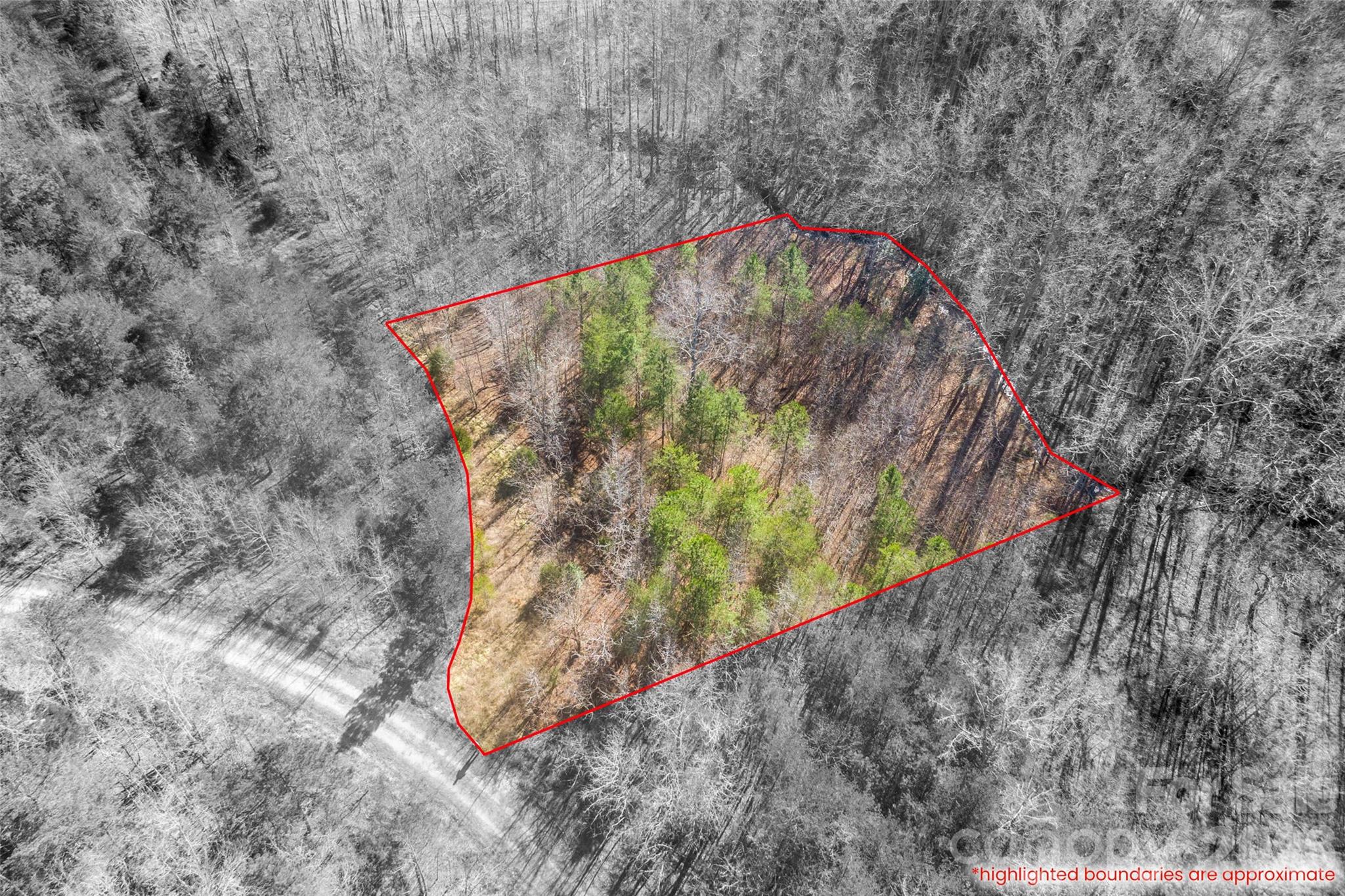 0 Riding Ring Drive Ellenboro NC 28040