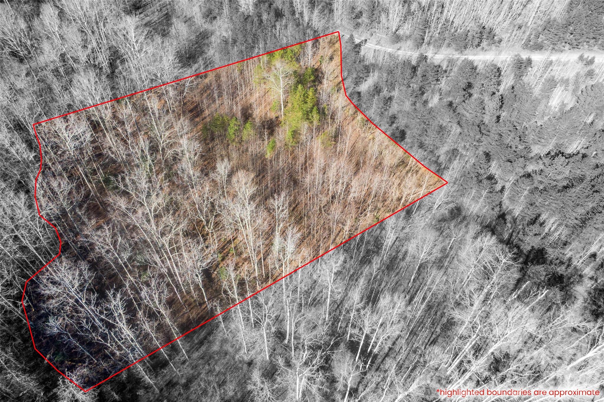0 Riding Ring Drive Ellenboro NC 28040
