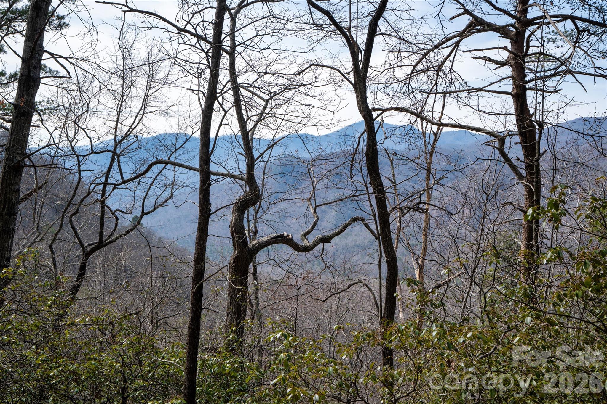 0 Rachel Ridge Lake Lure NC 28746