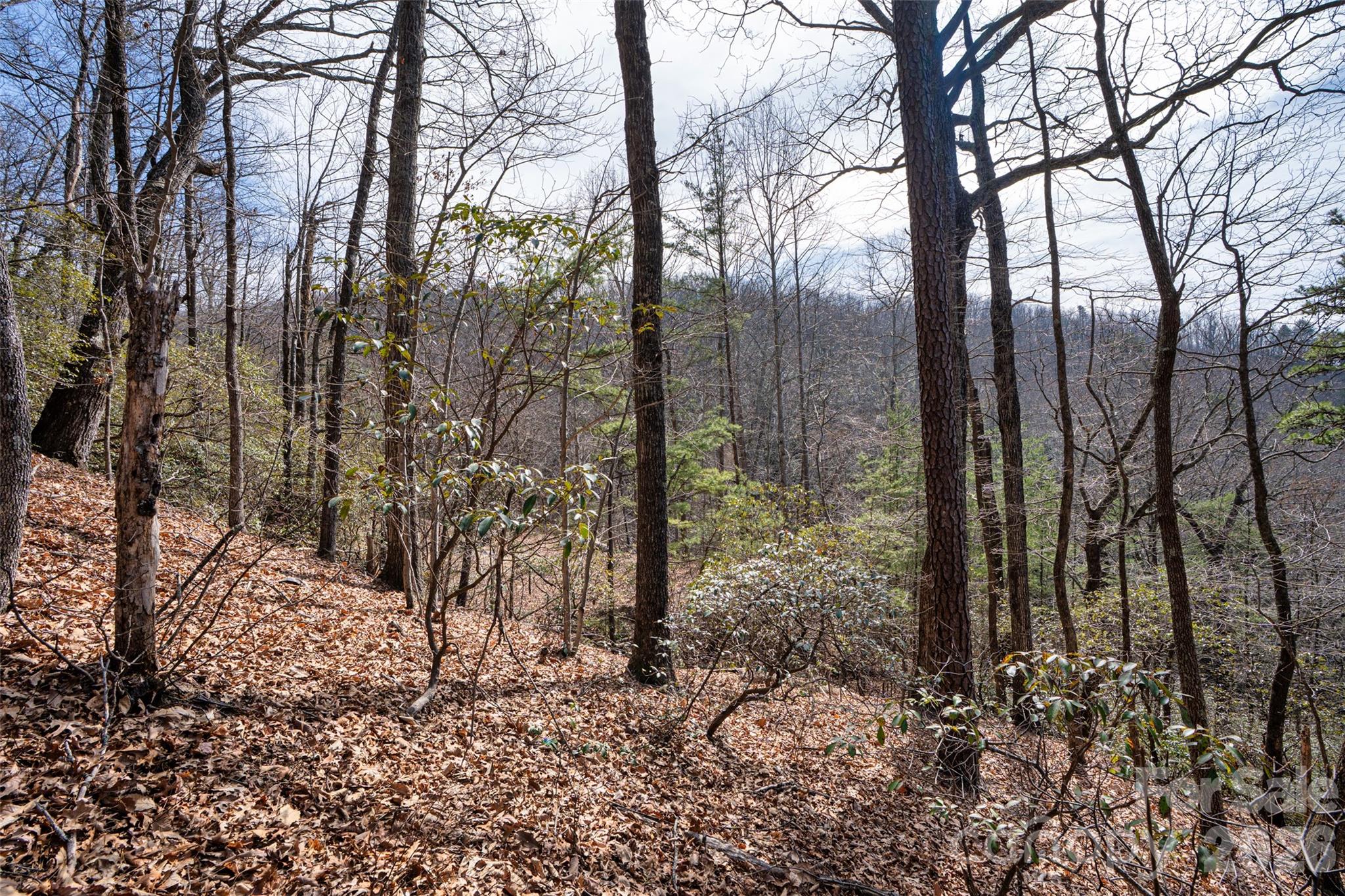 0 Rachel Ridge Lake Lure NC 28746