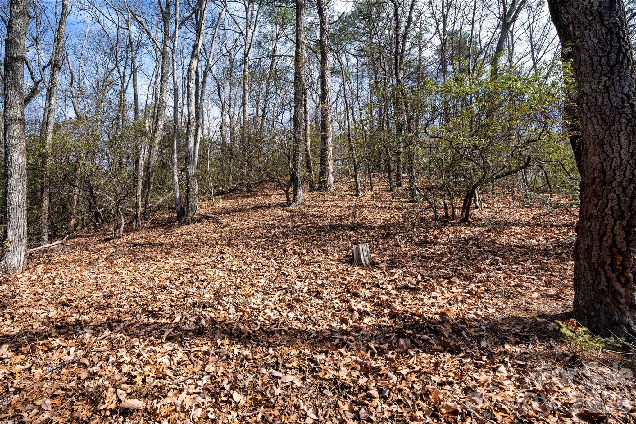 0 Rachel Ridge Lake Lure NC 28746