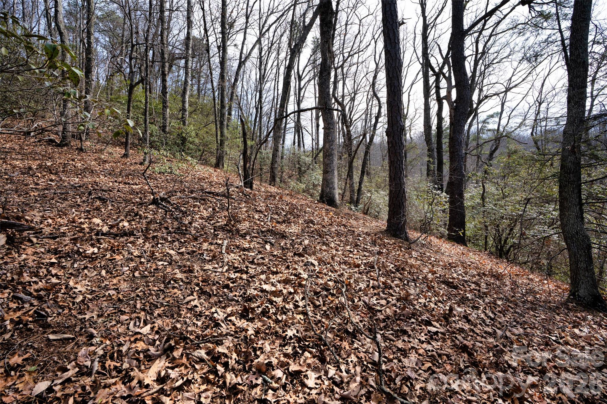 0 Rachel Ridge Lake Lure NC 28746