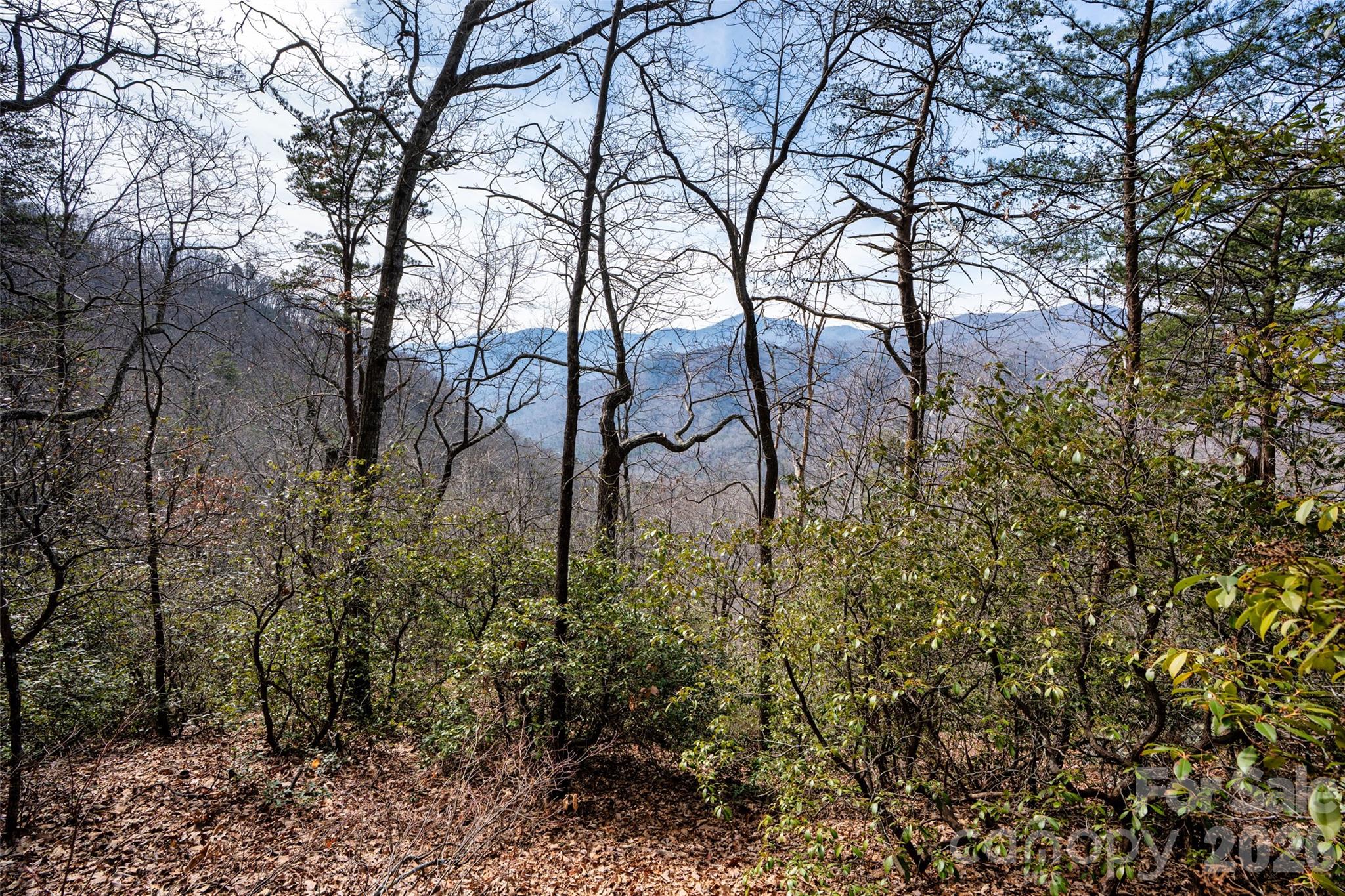 0 Rachel Ridge Lake Lure NC 28746