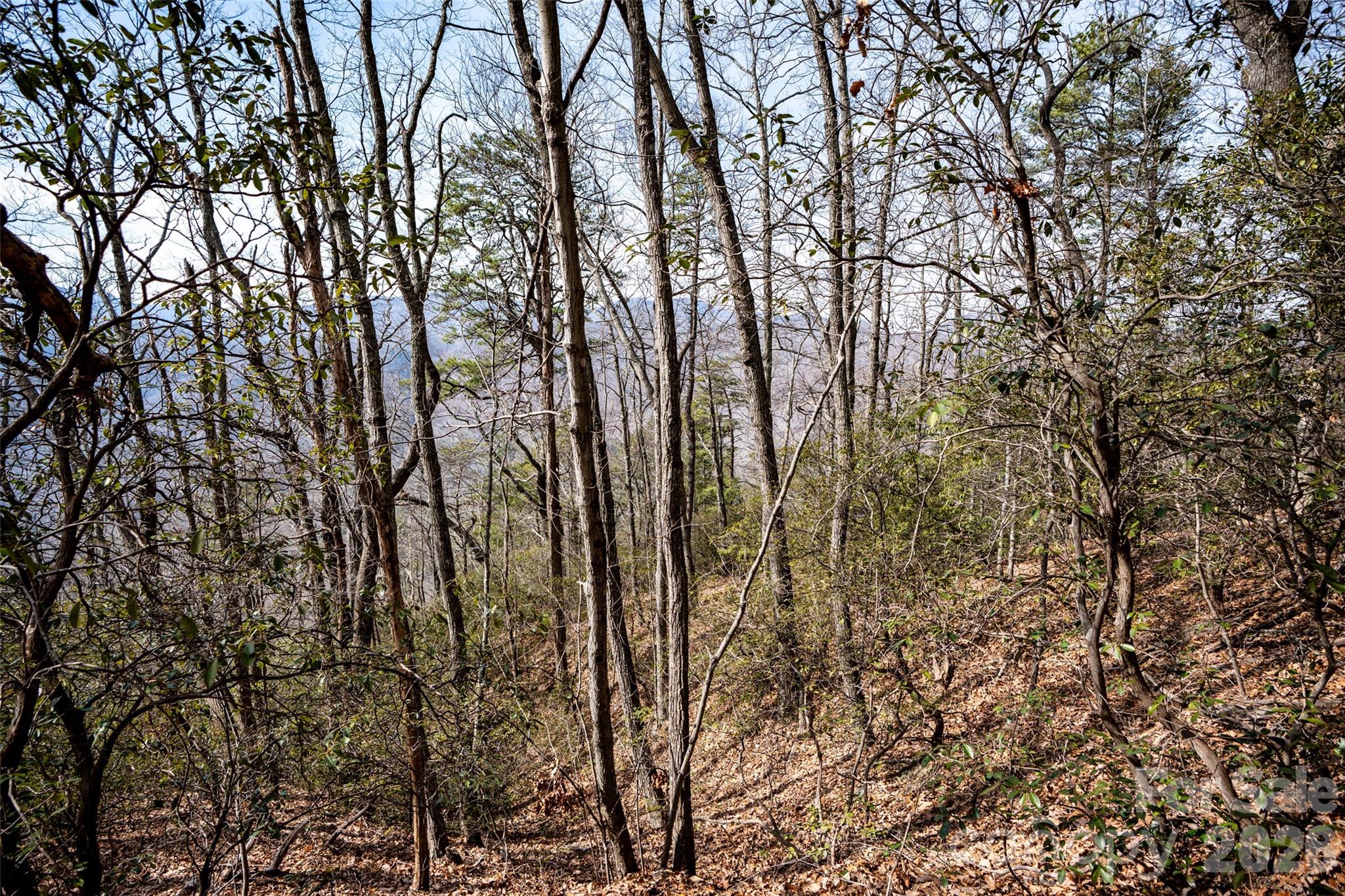 0 Rachel Ridge Lake Lure NC 28746