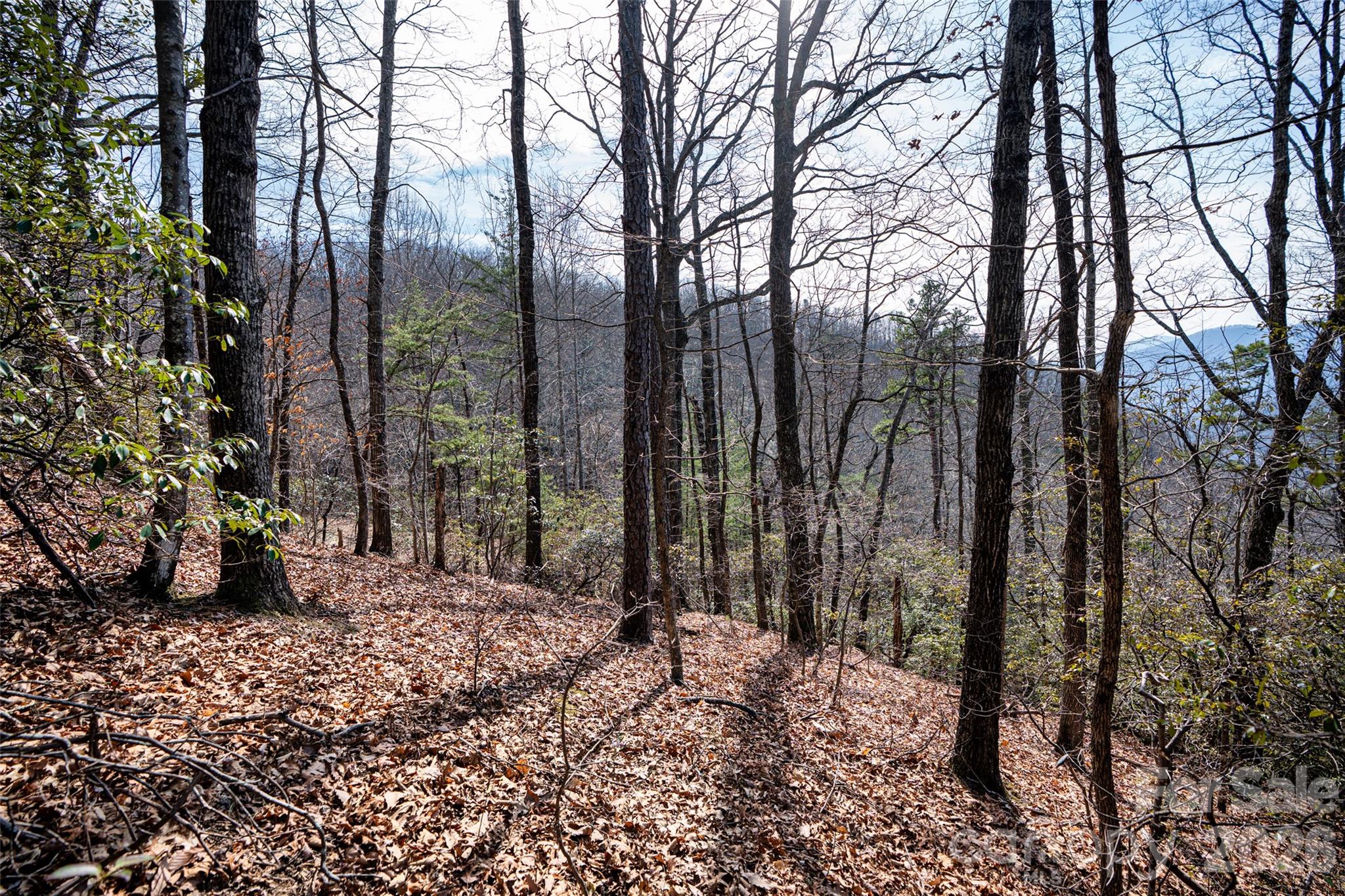 0 Rachel Ridge Lake Lure NC 28746