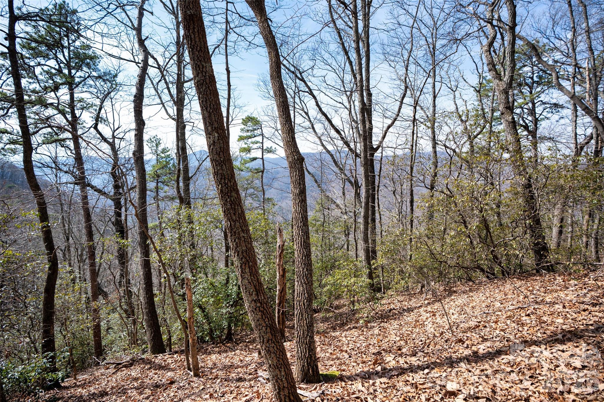 0 Rachel Ridge Lake Lure NC 28746
