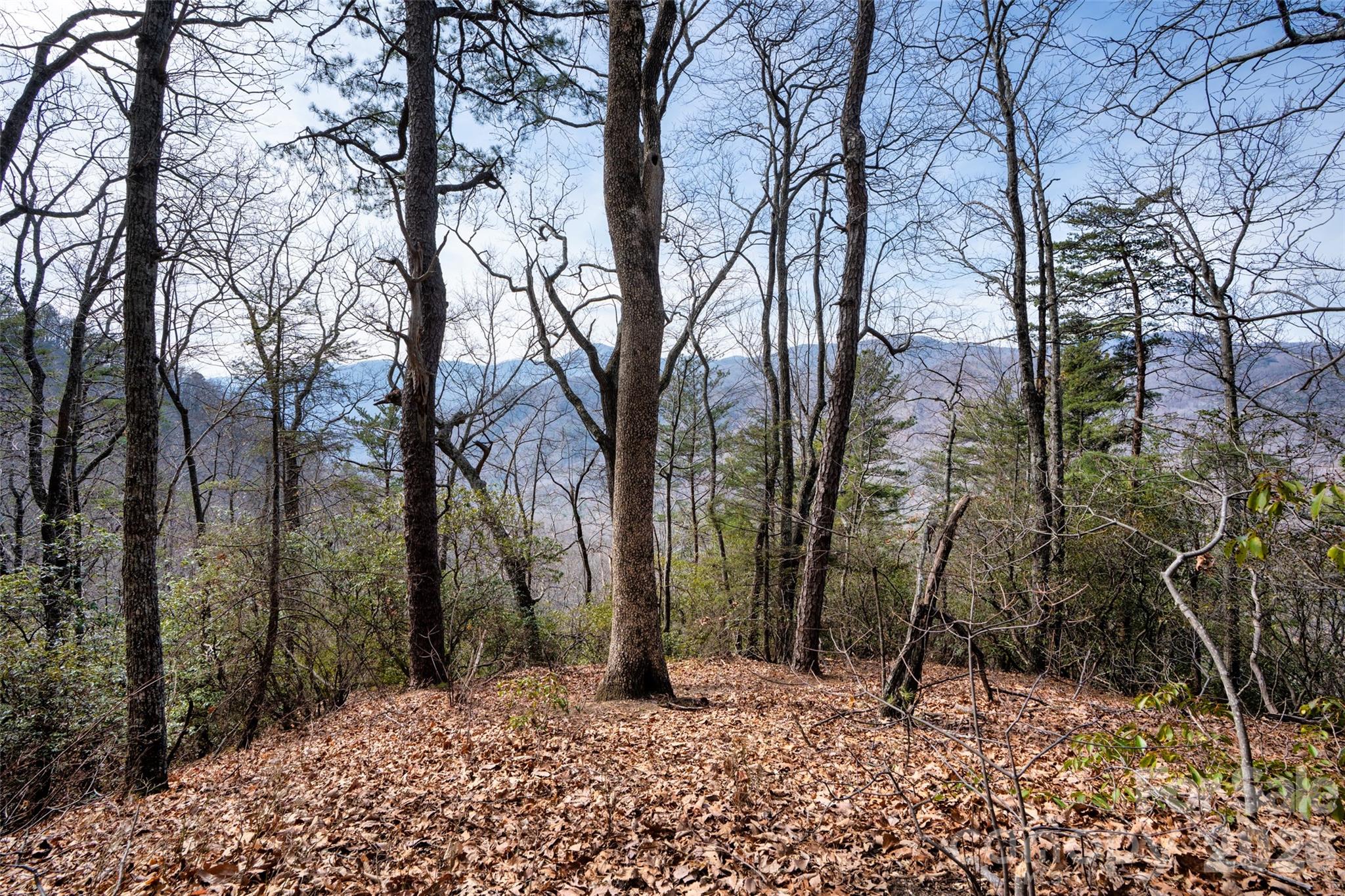 0 Rachel Ridge Lake Lure NC 28746