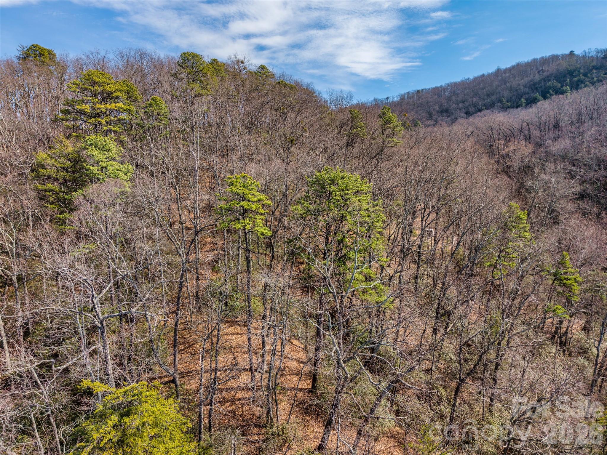 0 Rachel Ridge Lake Lure NC 28746