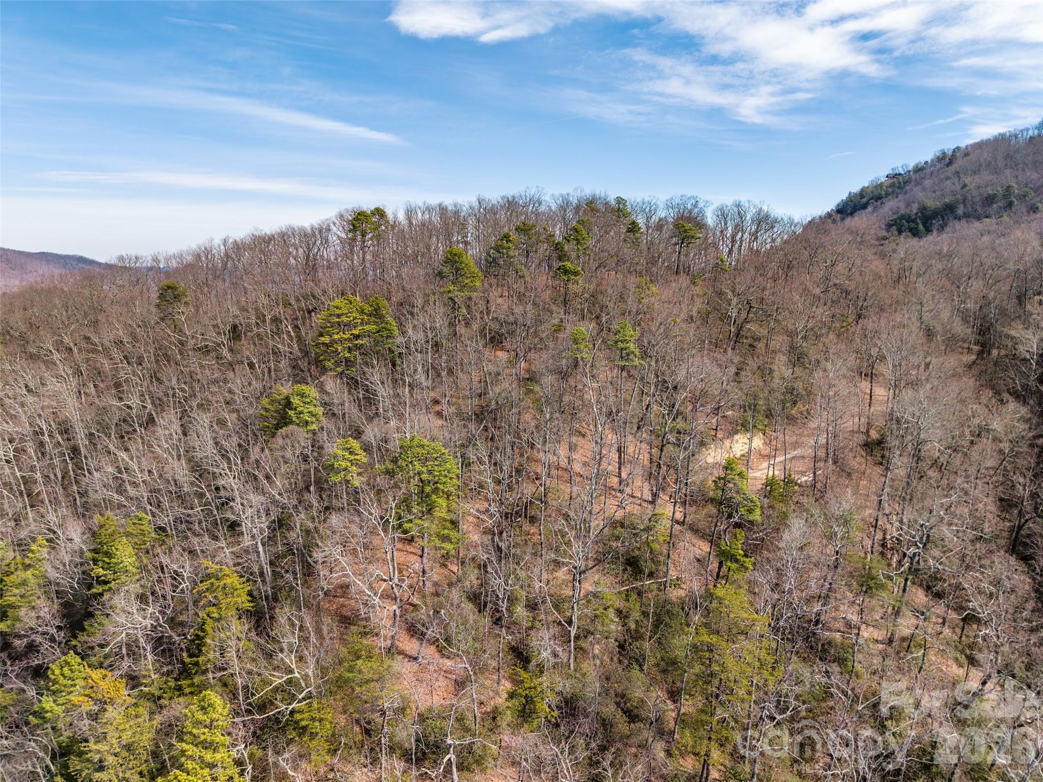 0 Rachel Ridge Lake Lure NC 28746