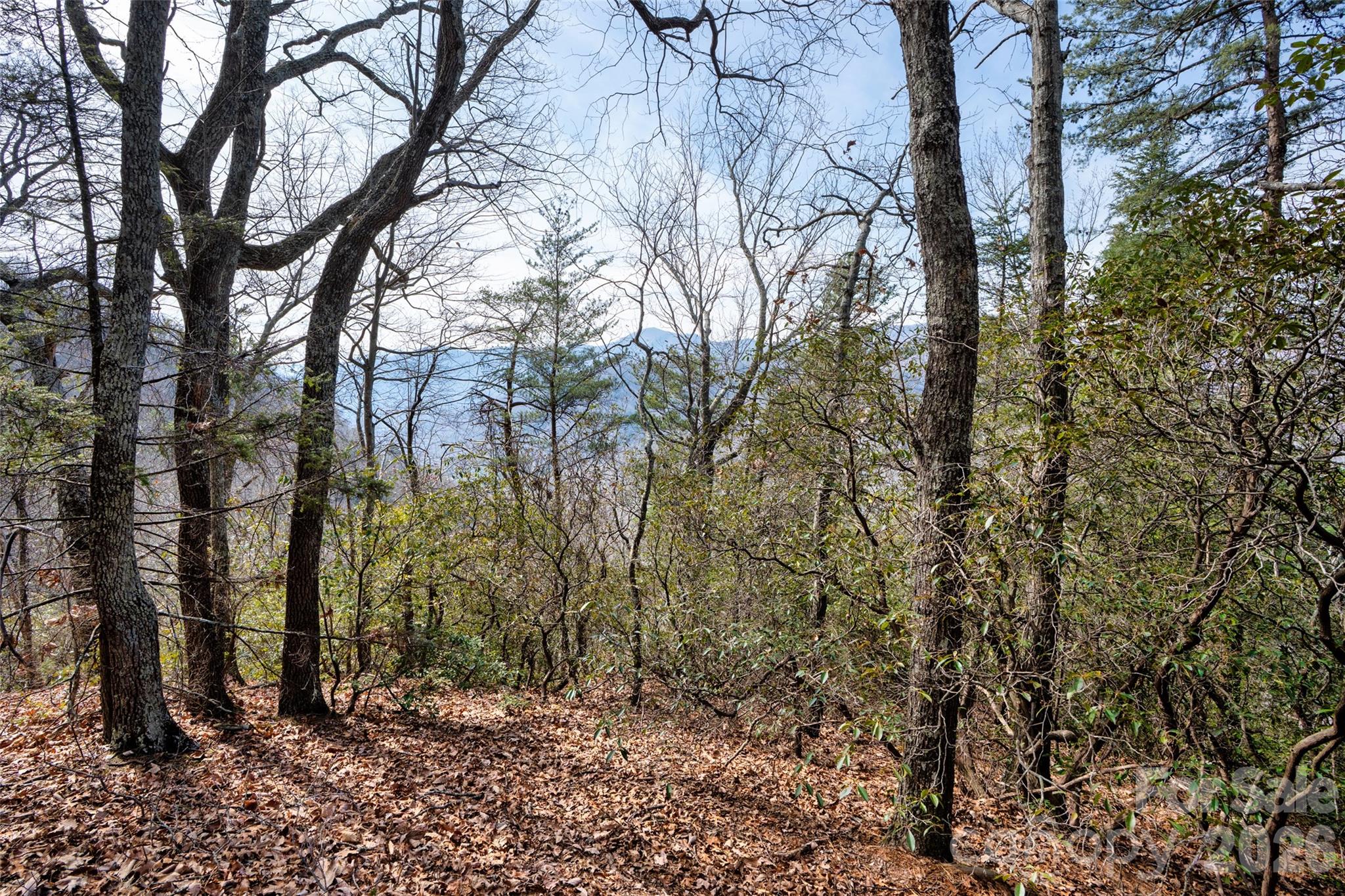 0 Rachel Ridge Lake Lure NC 28746