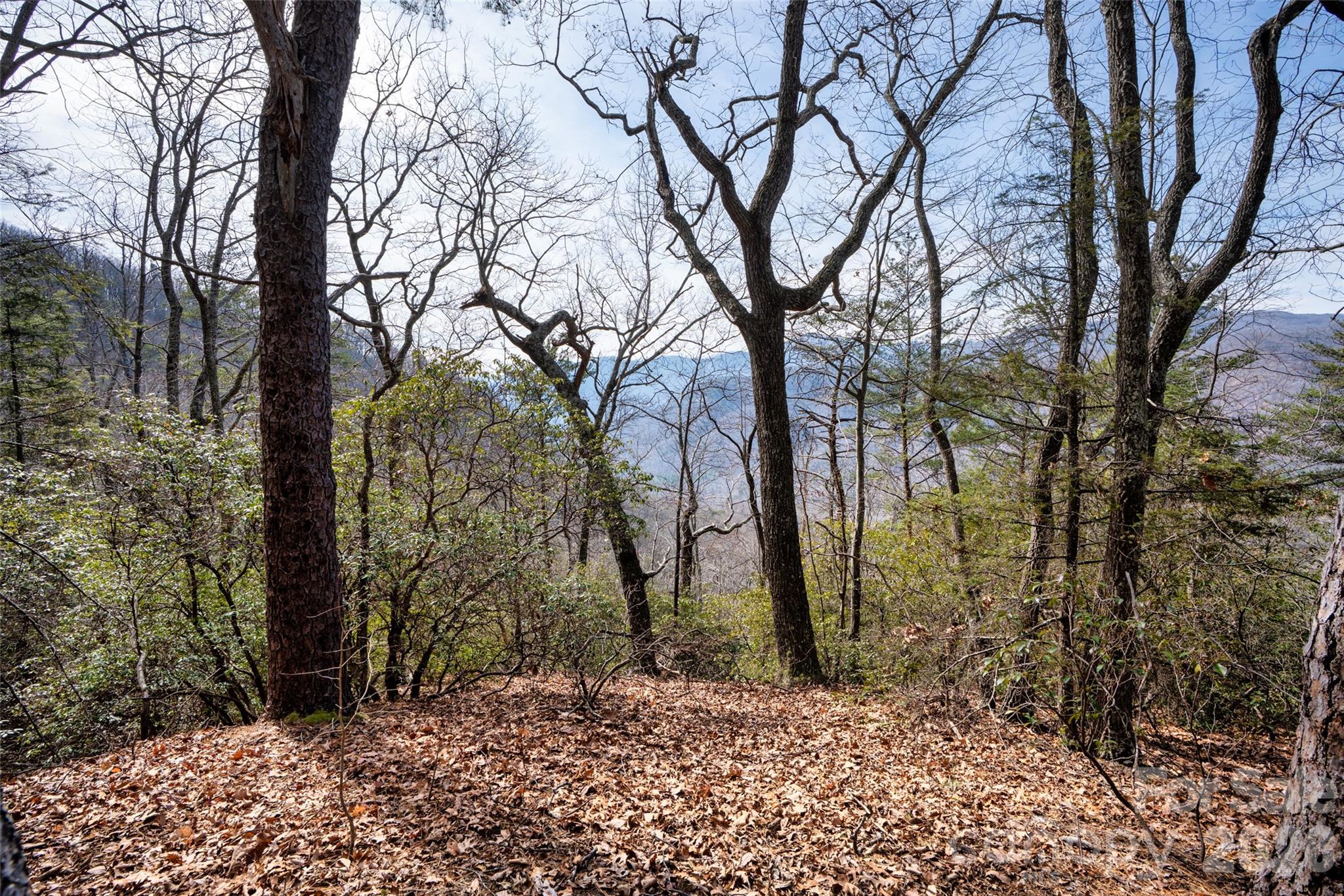 0 Rachel Ridge Lake Lure NC 28746